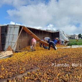 Fotos de Carreta carregada com laranja tomba no Contorno Norte em Maringá e carga é saqueada