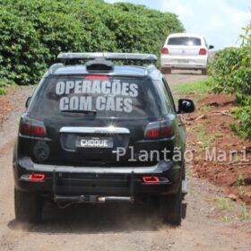 Fotos de Troca de tiros com a Polícia Militar de Maringá, termina com um assaltante baleado em Mandaguari