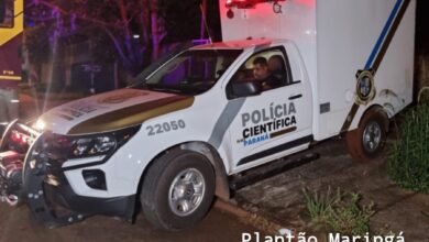 Fotos de Idosa e cachorro de estimação são encontrados mortos em Maringá