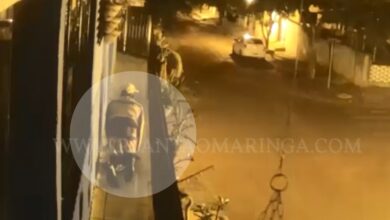 Fotos de Homem é filmado escalando sobrado e engatinhando para furtar cacto rabo-de-macaco em Sarandi; vídeo