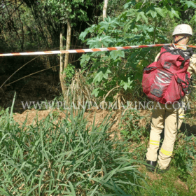 Fotos de Mulher é encontrada sem cabeça e nua dentro de córrego em Maringá