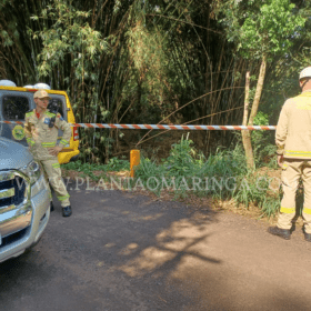 Fotos de Mulher é encontrada sem cabeça e nua dentro de córrego em Maringá