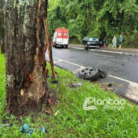 Fotos de Carro de luxo fica destruído após bater contra árvore em Maringá