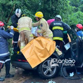 Fotos de Carro de luxo fica destruído após bater contra árvore em Maringá