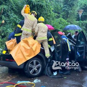 Fotos de Carro de luxo fica destruído após bater contra árvore em Maringá