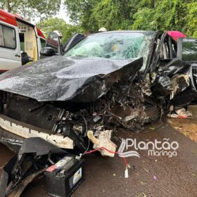 Fotos de Carro de luxo fica destruído após bater contra árvore em Maringá