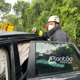 Fotos de Carro de luxo fica destruído após bater contra árvore em Maringá