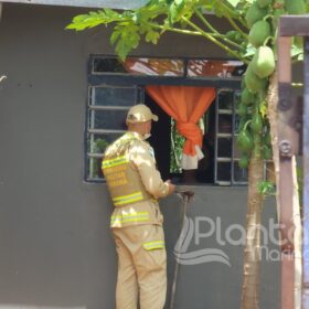 Fotos de Criminosos invadem residência matam mulher e atiram contra companheiro dela 