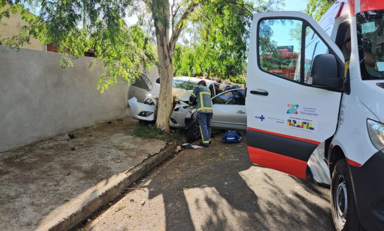 Fotos de Duas mulheres e uma criança sofreram ferimentos graves após carro bater em árvore