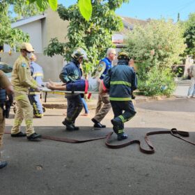 Fotos de Duas mulheres e uma criança sofreram ferimentos graves após carro bater em árvore