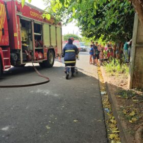 Fotos de Duas mulheres e uma criança sofreram ferimentos graves após carro bater em árvore