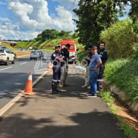 Fotos de Homem é encontrado morto às margens da rodovia BR-376