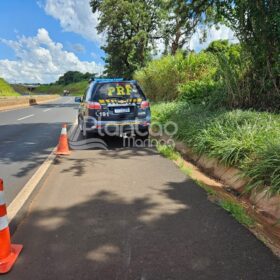 Fotos de Homem é encontrado morto às margens da rodovia BR-376