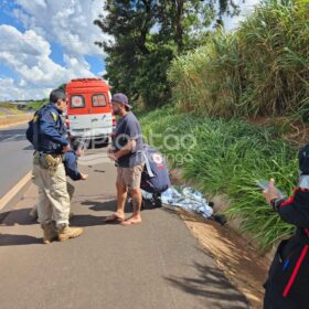 Fotos de Homem é encontrado morto às margens da rodovia BR-376