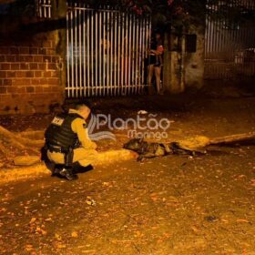 Fotos de Jovem é executado com mais de 20 tiros em Maringá