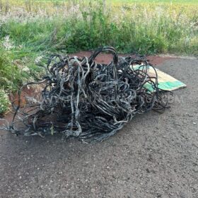 Fotos de Ladrões derrubam postes de energia para furtar fiação em Sarandi – na fuga são atacado por abelhas