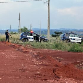 Fotos de Ladrões derrubam postes de energia para furtar fiação em Sarandi – na fuga são atacado por abelhas