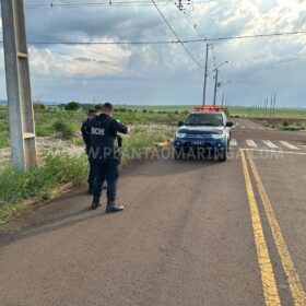 Fotos de Ladrões derrubam postes de energia para furtar fiação em Sarandi – na fuga são atacado por abelhas