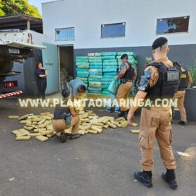 Fotos de Polícia Militar apreende quase duas toneladas de maconha em oficina mecânica em Maringá 