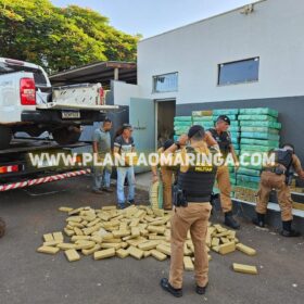 Fotos de Polícia Militar apreende quase duas toneladas de maconha em oficina mecânica em Maringá 