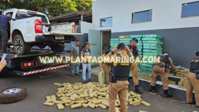 Fotos de Polícia Militar apreende quase duas toneladas de maconha em oficina mecânica em Maringá 