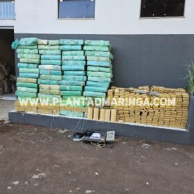 Fotos de Polícia Militar apreende quase duas toneladas de maconha em oficina mecânica em Maringá 