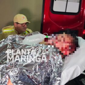 Fotos de Homem é baleado na cabeça durante suposta tentativa de assalto, em Maringá