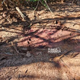 Fotos de Sarandiense é executado a tiros e tem cabeça decepada do corpo 