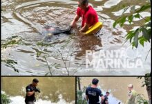 Fotos de Homem morre durante pescaria no Rio Pirapó entre Maringá e Astorga 