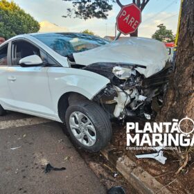 Fotos de Açougueiro morre após acidente causado por motorista com suspeita de embriaguez em Maringá 