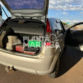 Fotos de Pastor é preso pela PRF de Maringá transportando maconha e skank