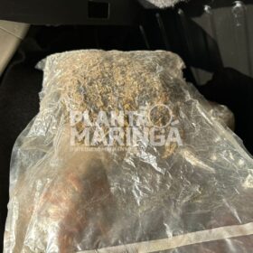 Fotos de Pastor é preso pela PRF de Maringá transportando maconha e skank