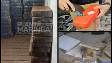 Fotos de Polícia Rodoviária Estadual encontra 'bunker' do tráfico de drogas em Maringá e apreende quase 6 toneladas de maconha