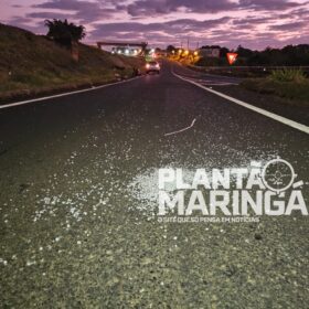 Fotos de Mulher é intubada após motorista causa acidente e fugir do local sem prestar socorro