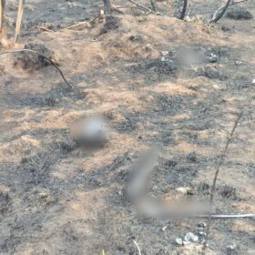 Fotos de Após incêndio ambiental ossada humana é encontrada na região 