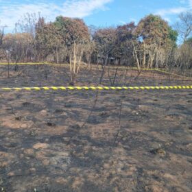 Fotos de Após incêndio ambiental ossada humana é encontrada na região 