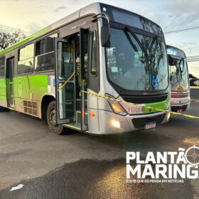 Fotos de Cadeirante é atropelado por ônibus em Maringá