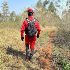 Fotos de Menino de 2 anos perdido em mata a quase 36 horas em Cambira é encontrado  