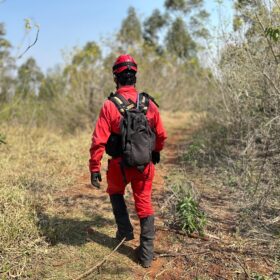 Fotos de Menino de 2 anos perdido em mata a quase 36 horas em Cambira é encontrado  