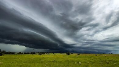 Fotos de 378 cidades entram em alerta para tempestade no Paraná; veja a lista e a previsão do tempo