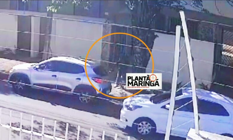 Fotos de Aluna que esfaqueou mulher na porta de colégio é executada com 15 tiros em Maringá