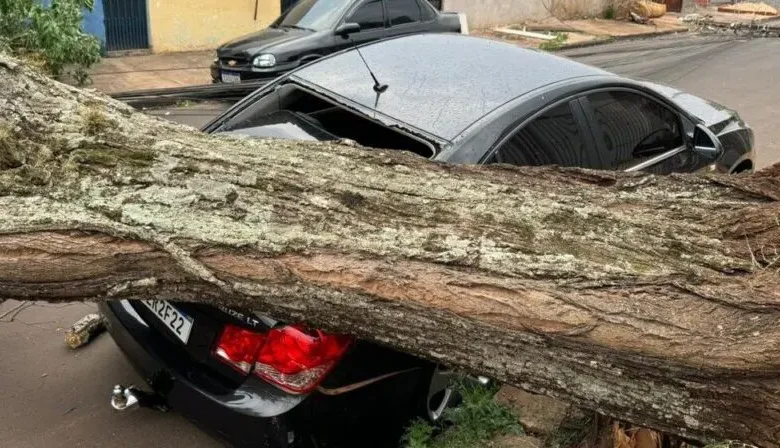 Fotos de Após rajadas de vento, árvores atingem carros em Maringá e região; vídeo