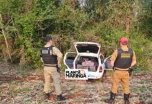 Fotos de Candidato a vereador é preso com carro carregado de maconha após perseguição policial