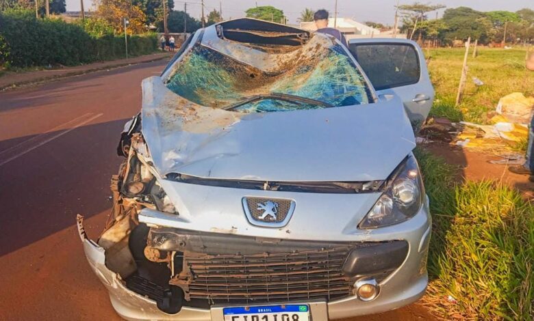 Fotos de Colisão com cavalo em rua de Sarandi deixa duas pessoas feridas e animal morto