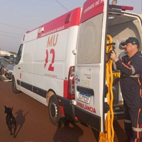 Fotos de Colisão com cavalo em rua de Sarandi deixa duas pessoas feridas e animal morto