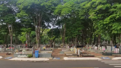 Fotos de Obituário: veja lista de falecimentos, em Maringá e região