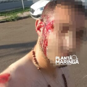 Fotos de Motociclista mata filhote de pitbull a pauladas após acidente em Maringá