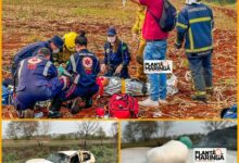 Fotos de Motorista com drogas é intubado após capotamento de veículo entre Maringá e Floresta