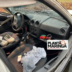 Fotos de Motorista com drogas é intubado após capotamento de veículo entre Maringá e Floresta