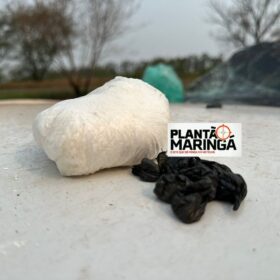 Fotos de Motorista com drogas é intubado após capotamento de veículo entre Maringá e Floresta